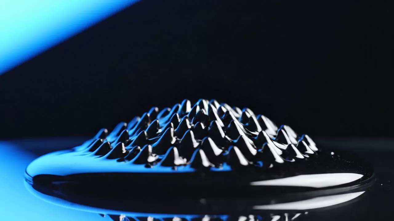 Ferrofluid Auto T2 9369079 -  - Wondermint